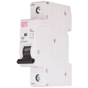 Fuzebox MT06B061 MCB SP Type B 6A 6kA(1)