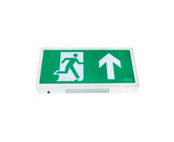 Type EX - LED emergency exit sign (ALPINE)