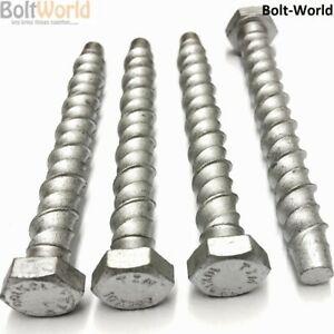 M8 X 50MM CONCRETE ANCHOR BOLT (Pack of 100)