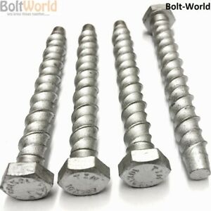 M8 X 50MM CONCRETE ANCHOR BOLT (Pack of 10)